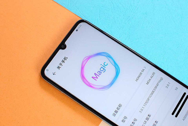 Giá của phiên bản ROM 64GB là 126 USD (tương đương 2,99 triệu đồng). Phiên bản ROM 128GB có giá 169 USD (3,99 triệu đồng). Đây là mức giá rẻ của một chiếc smartphone pin khủng màn hình lớn