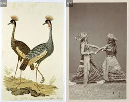 Cấu trúc dữ liệu được cải thiện về độ nhạy hơn so với những cấu trúc trước đây bởi nó cho phép cây nhanh chóng tự “cắt tỉa” để tìm được mô típ phù hợp với hình ảnh tìm thấy trong dữ liệu về một nền văn hóa, một nghệ sĩ, hoặc một bộ sưu tập cụ thể, qua đó nhanh chóng gặt hái được các câu trả lời về những dạng mới của các truy vấn.