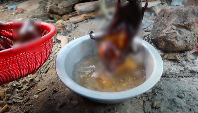 Nhiều đoạn video trên kênh Sang Vlog có phân cảnh bị YouTube xếp loại nhạy cảm trong quá trình sơ chế, ăn thịt động vật.