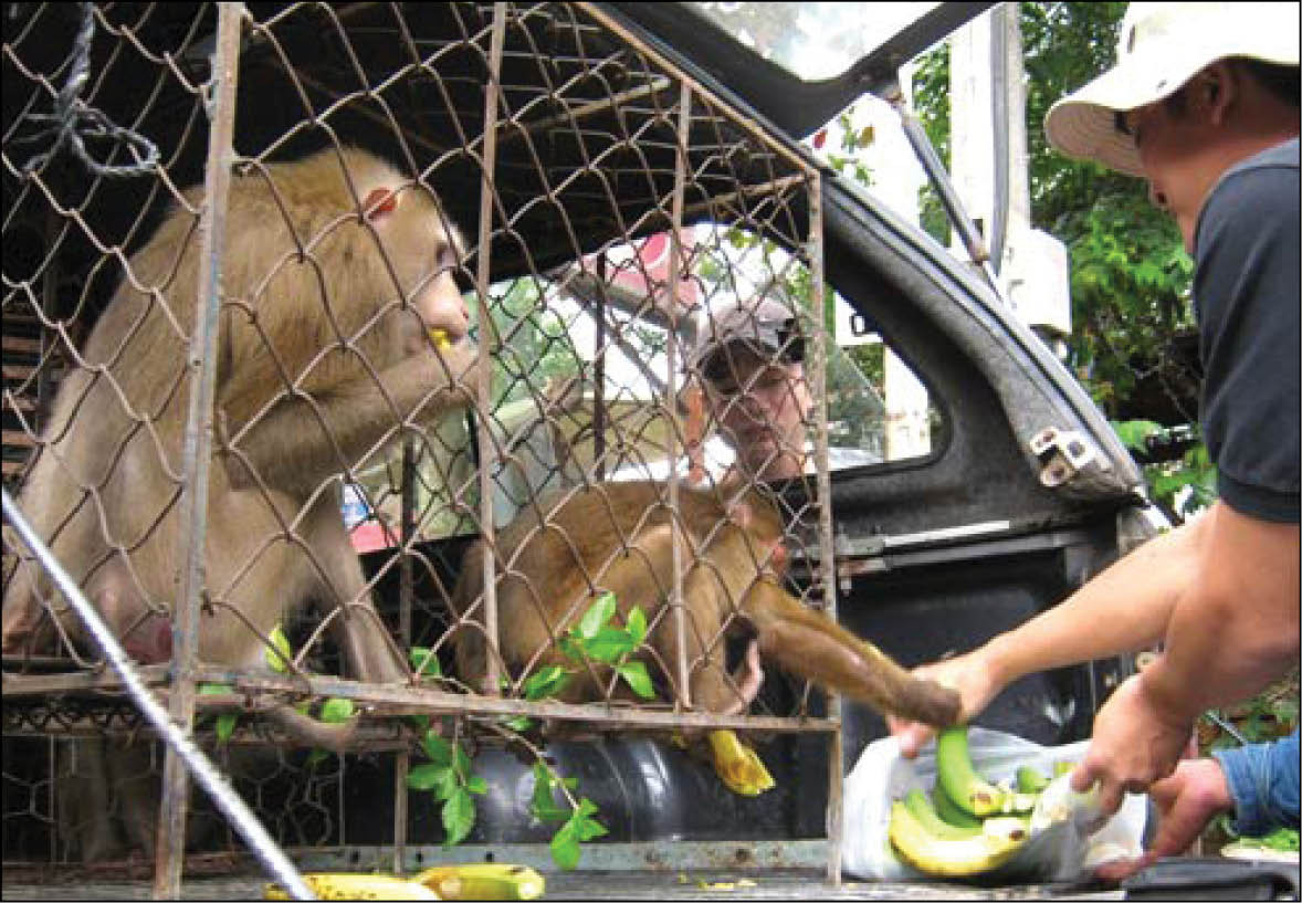 Bảo vệ động vật hoang dã: AI không chỉ để phục vụ cho con người, mà là cho động vật hoang dã. AI cho phép các tổ chức bảo vệ động vật theo dõi các cá thể động vật hoang dã không chỉ trên màn hình máy tính.