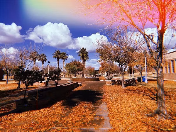  Huji Cam: Được cho là “bản dupe” của Gudak, Huji lại được nhiều bạn trẻ ưa chuộng hơn vì đây là một ứng dụng miễn phí. Nước ảnh của ứng dụng này theo kiểu cổ điển đậm chất thập niên 90, có thể tự chỉnh màu theo phong cách retro, sử dụng theo cơ chế chụp - rửa ảnh,...