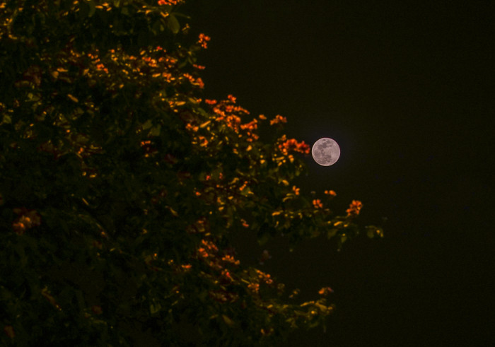 Trong khi đó, nếu người xem đứng ở một vị trí có thể trông thấy trăng ở gần đường chân trời thì kích thước Mặt trăng sẽ lớn hơn, cảnh tượng này trông sẽ như "ảo giác"