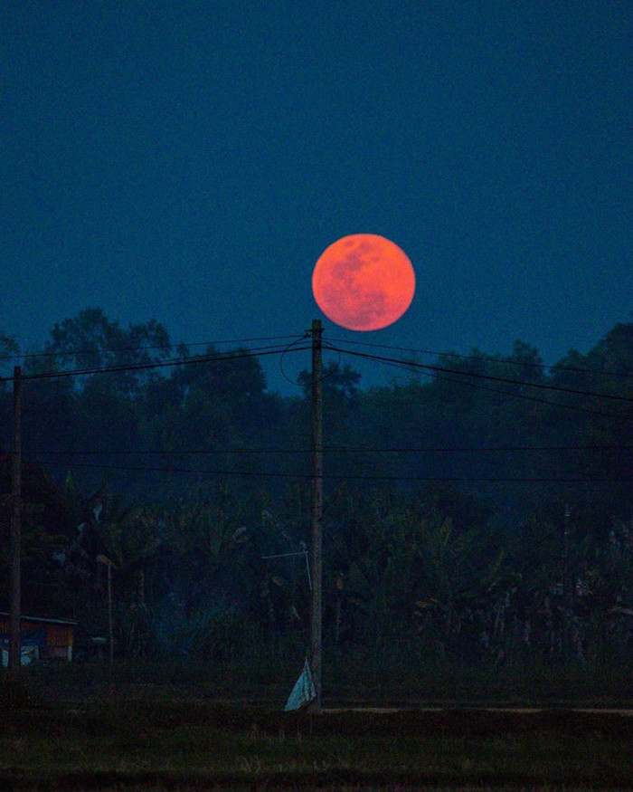 Siêu trăng là hiện tượng thiên văn khi Mặt trăng di chuyển gần Trái đất nhất vào đúng dịp trăng tròn. So với các loại trăng tròn khác, siêu trăng có độ sáng vượt trội. Ngắm siêu trăng cuôi cùng của năm 2020.