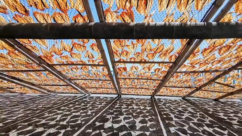 Không nằm ngoài album, một bức anh phô diễn sự "đỉnh của đỉnh" của camera trên P40 Pro+ với khoảng sáng, tối, chi tiết và màu sắc đẹp từng điểm ảnh.