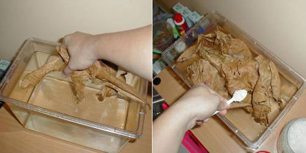 Làm sạch lá bàng khô trước khi dùng và nên sử dụng lá bàng với nước mới, mỗi lá bàng 10 cm sử dụng với 4 - 8 lít nước đối với cá rồng. Khi thay nước cho cá lưu ý nên giữ lại một ít nước cũ, đồng thời cho thêm muối, có thể cắt nhỏ vụn lá bàng, cho vào bịch vải ngâm trong bộ lọc.