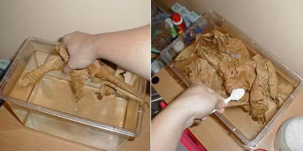 Làm sạch lá bàng khô trước khi dùng và nên sử dụng lá bàng với nước mới, mỗi lá bàng 10 cm sử dụng với 4 - 8 lít nước đối với cá rồng. Khi thay nước cho cá lưu ý nên giữ lại một ít nước cũ, đồng thời cho thêm muối, có thể cắt nhỏ vụn lá bàng, cho vào bịch vải ngâm trong bộ lọc.