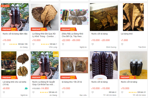 Cụ thể lá bàng khô được rao bán phổ biến với giá 1.000 đồng/lá, nếu mua nhiều, khách hàng có thể mua theo kg với giá khoảng 100.000 đồng/kg. Ngoài sản phẩm lá còn có cả nước ép thay nước cốt từ lá bàng.