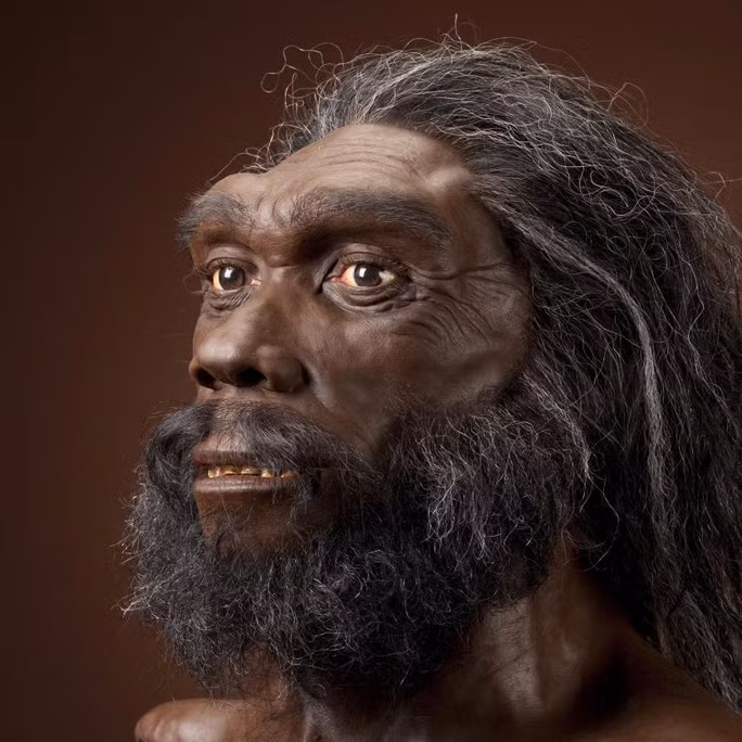 Nguồn gốc của loài Homo rhodesiensis chưa rõ ràng, nhưng các bằng chứng cho thấy họ cũng liên quan đến Homo heidellbergensis như chúng ta. Hóa thạch mới nhất của họ khoảng 125.000 tuổi, xuất hiện ở Zambia (Châu Phi).