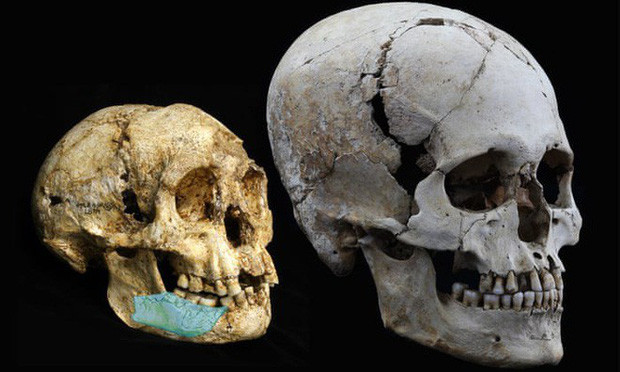 Nhiều hóa thạch, mẫu vật mới nhất có niên đại khoảng 67.000 năm của loài Homo luzonensis. đã được phát hiện tại hang Callao, thuộc đảo Luzon (Philippines). Do số lượng rất ít nên mô tả về họ vẫn chưa rõ ràng, nhưng phân tích ban đầu cho thấy họ cũng là một giống người lùn giống người Hobbit.