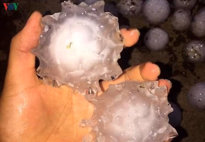 Những viên đá to với đường kính trên 7cm