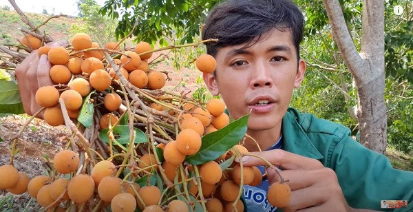  Sang Vlog cho biết lý do anh lên rừng ở ẩn là để tránh sự bon chen của cuộc sống hiện tại, cũng như tìm một nơi thoáng đãng, lý tưởng hơn cho việc quay video: ''Lên trên đây thì thoải mái hơn, rất ít người, xa xa mới có một căn nhà hay bóng dáng người. Trên đây vẫn còn rừng, sông núi… làm video sẽ dễ hơn''. 