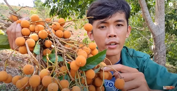  Sang Vlog cho biết lý do anh lên rừng ở ẩn là để tránh sự bon chen của cuộc sống hiện tại, cũng như tìm một nơi thoáng đãng, lý tưởng hơn cho việc quay video: ''Lên trên đây thì thoải mái hơn, rất ít người, xa xa mới có một căn nhà hay bóng dáng người. Trên đây vẫn còn rừng, sông núi… làm video sẽ dễ hơn''. 