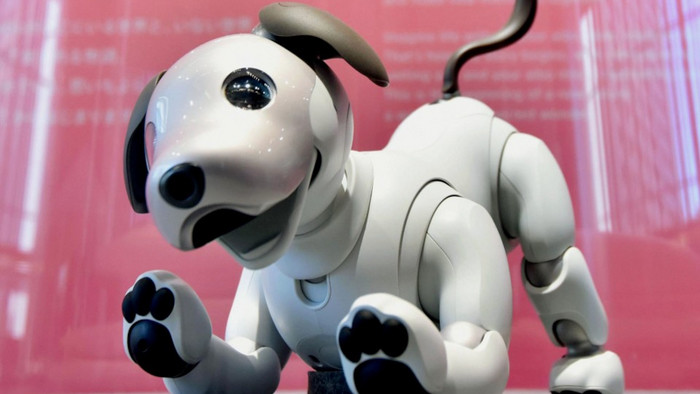 Aibo mới được trang bị công nghệ AI tiên tiến giúp chú có thể, qua thời gian tương tác, học từ những thành viên trong gia đình chủ và môi trường xung quanh để tự phát triển cá tính riêng. Do vậy, mỗi con Aibo sẽ là “độc nhất”, không có con nào giống nhau.