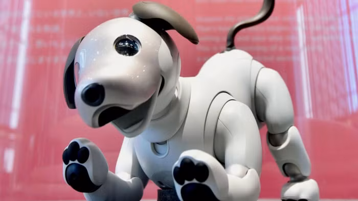 Aibo mới được trang bị công nghệ AI tiên tiến giúp chú có thể, qua thời gian tương tác, học từ những thành viên trong gia đình chủ và môi trường xung quanh để tự phát triển cá tính riêng. Do vậy, mỗi con Aibo sẽ là “độc nhất”, không có con nào giống nhau.