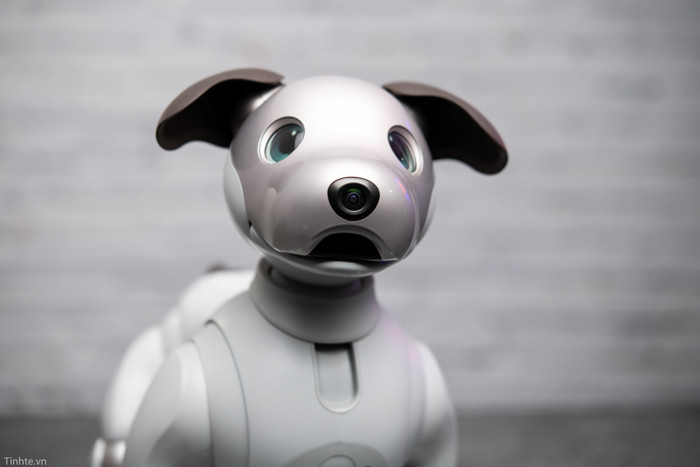 Trải qua 2 thập kỷ, chú chó Aibo của Sony đã được hồi sinh với phiên bản mới, đáng yêu hơn và giống thật hơn (Trong ảnh: phiên bản Aibo 2018)