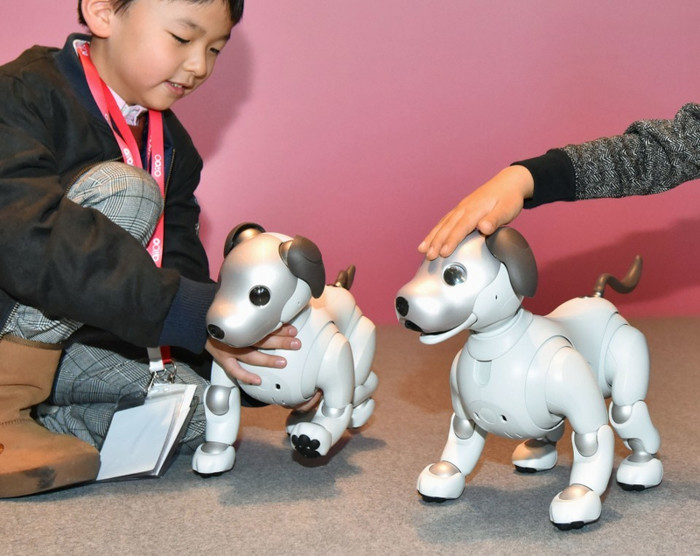 Tại Sony Show diễn ra tại Hà Nội cuối năm 2019 vừa qua, chú chó Aibo này cũng xuất hiện và thu hút sự chú ý của nhiều người. Trong số đó, có không ít người đã từng là những cô cậu bé từng mê mẩn Aibo phiên bản đầu tiên.