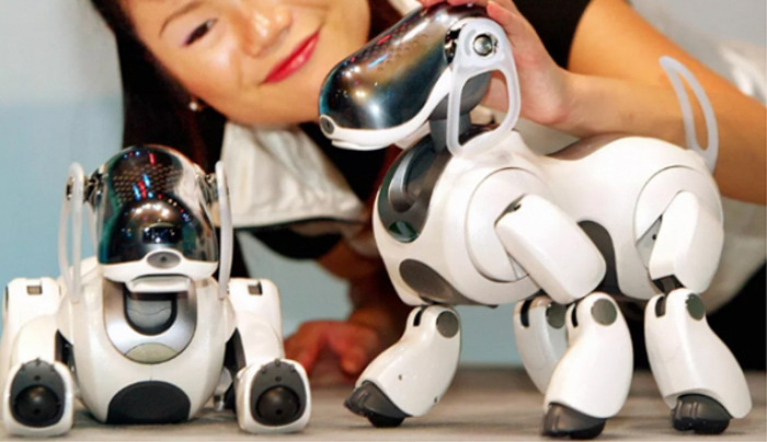 Quay ngược trở lại thời gian cách đây gần 20 năm, khi chú chó Aibo ra đời, chú chó này được nhiều người dân Nhật Bản yêu mến. Tuy nhiên, rào cản lớn nhất thời bấy giờ là giá của một chú chó này không hề rẻ, trên 2000 USD