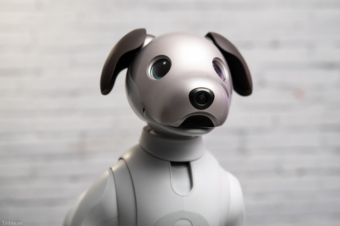 Cùng với Asimo, chú chó robot Aibo của Sony từ khi ra mắt năm 1999 đã ngay lập tức làm nức lòng công chúng, trở thành một biểu tượng văn hóa và có hẳn một lượng fan hâm mộ trung thành.