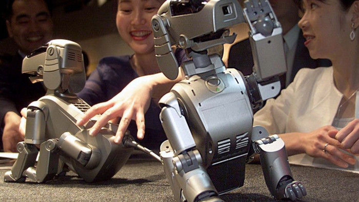 Mặc dù Aibo thường được nhớ đến như một sự thất bại trong thiên niên kỷ, nhưng nó vẫn được yêu thích ở một số cộng đồng. Dự án này đã dừng lại chỉ sau 7 năm ra đời.