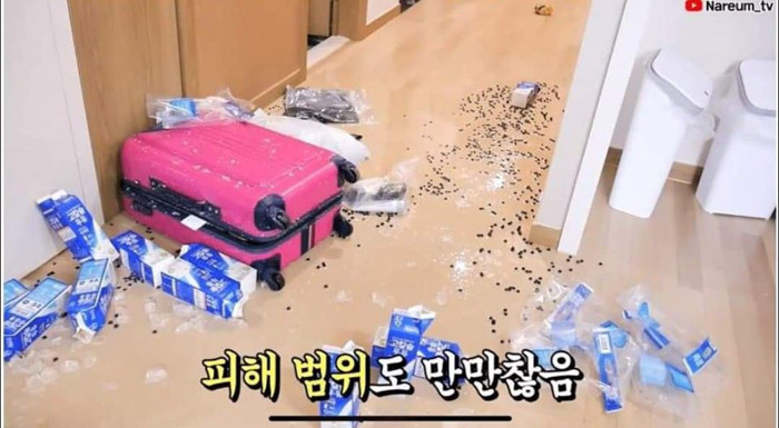 Nhiều người cho rằng, lý do chính khiến cho sự cố xảy ra đó là trong quá trình khuấy, nàng Youtuber đã có phần hơi mạnh tay và khiến cho chiếc ly xuất hiện vết nứt, qua đó trực tiếp làm hỏng luôn thành quả từ đầu.