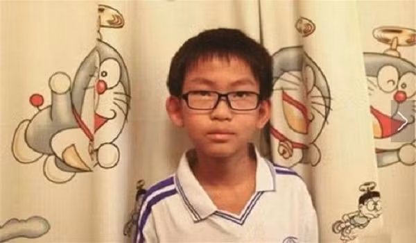 Hacker nhỏ tuổi này bị cáo buộc là đột nhập bất hợp pháp. Mặc dù vậy, Wang đã ngay lập tức báo lên Qihoo 360 Technology - một công ty phần mềm tại Bắc Kinh - về lỗ hổng của không chỉ trang web trường cậu mà còn hơn 100 cơ sở giáo dục trong cả nước.