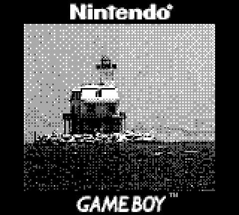 Camera Gameboy là một phụ kiện đi theo Gameboy, được giới thiệu vào ngày 21 tháng 2 năm 1998 tại Nhật Bản và sản xuất đại trà vào năm 2002. Nó tương thích với tất cả phiên bản Gameboy.