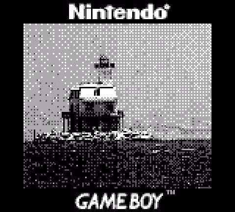 Camera Gameboy là một phụ kiện đi theo Gameboy, được giới thiệu vào ngày 21 tháng 2 năm 1998 tại Nhật Bản và sản xuất đại trà vào năm 2002. Nó tương thích với tất cả phiên bản Gameboy.