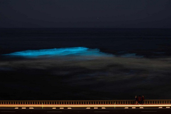 Cảnh tượng tại một bãi biển ở Cardiff, Encinitas, California.