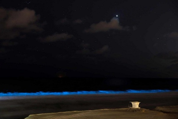 Quang cảnh tưởng chừng chỉ được thấy trong những câu chuyện cổ tích xuất hiện tại bãi biển ở Encinitas.