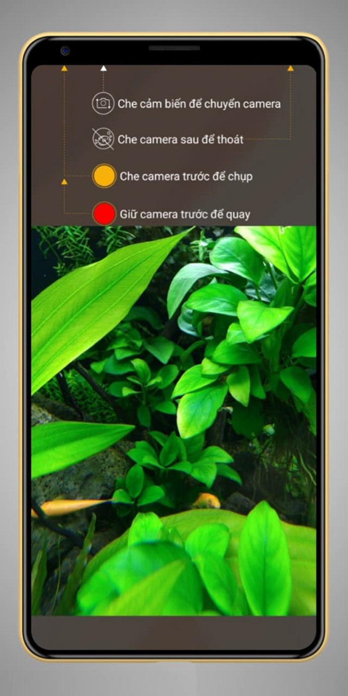 Đây là cách để kích hoạt tính năng chụp ảnh, quay phim dưới nước của Bphone B86