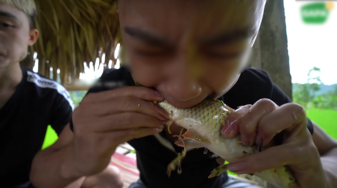 Dạo gần đây có khá nhiều Youtuber ăn cá sống, mà không phải những chú cá nhỏ li ti mà đôi khi là cả một con cá to bằng bắp chân gây chú ý.
