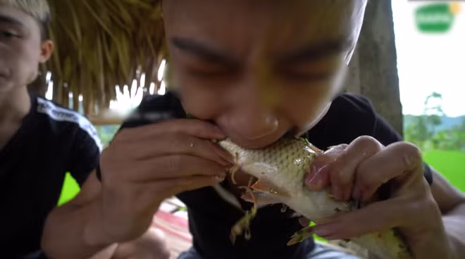 Dạo gần đây có khá nhiều Youtuber ăn cá sống, mà không phải những chú cá nhỏ li ti mà đôi khi là cả một con cá to bằng bắp chân gây chú ý.