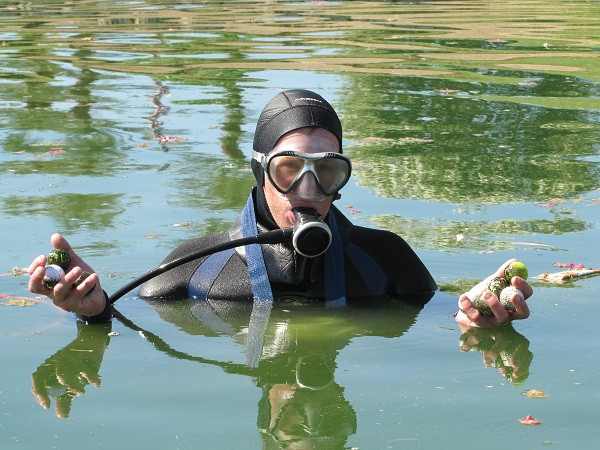 Một số sân được coi là mỏ vàng với các thợ lặn, như TPC Sawgrass - nơi tổ chức giải Players Championship với khoảng 100.000 quả bóng mất tích mỗi năm. Nhiều người còn lựa chọn đây là công việc bán thời gian tuyệt vời.