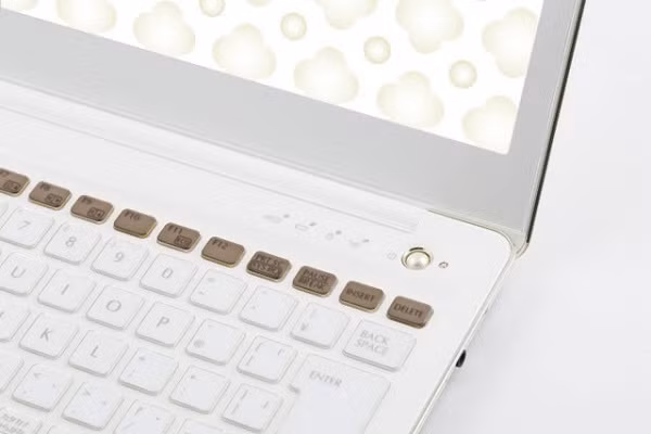 Thoạt nhìn thì trông có vẻ bình thường, nhưng thực chất chiếc laptop Fujitsu “Floral Kiss” này được thiết kế tinh tế, đặc biệt dành cho phái nữ. phím nguồn và đèn báo được đính ngọc trai giả, trang bị hệ điều hành Windows 8, bộ vi xử lý Intel Core i5 Ivy Bridge mạnh mẽ, ổ cứng HDD 500GB.