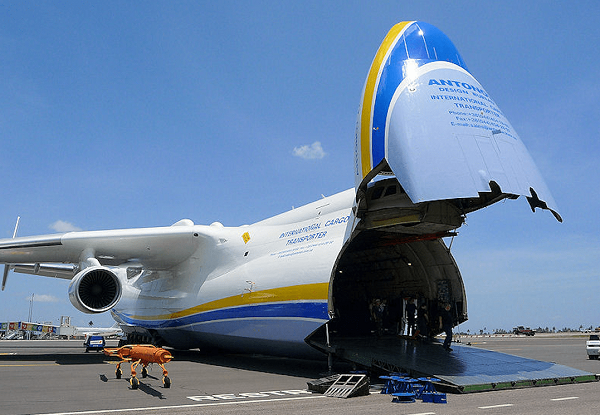 Chiếc máy bay sáu động cơ Antonov AN-225 lớn nhất thế giới không dùng để chở người, mà nó chở hàng hóa. Cỗ máy khổng lồ này được thiết kế vào những năm 1980 để vận chuyển các con tàu vũ trụ của Liên Xô, từng vận chuyển món hàng lớn nhất là một ống dẫn dầu khí nặng 247 tấn.