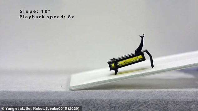 Chỉ nặng 88mg và dài 15mm, RoBeetle là một trong những con robot tự hành nhỏ nhất và nhẹ nhất từ trước tới nay.