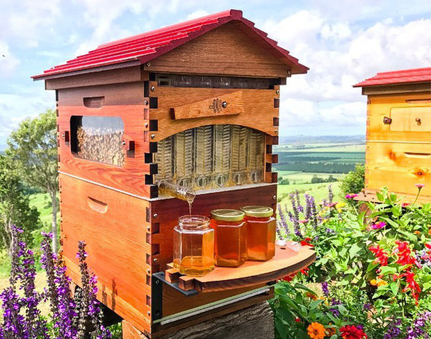 Tổ ong thông minh. Những chiếc tổ kiểu mới có thể lắp đặt nhanh chóng như chuồng chim, hỗ trợ lấy mật nhanh hơn mà không ảnh hưởng tới quyền lợi, sức khỏe của những chú ong sống trong đó. Sản phẩm này đã thành công đến nỗi, công ty đứng sau nó đang mở thêm chiến dịch gọi vốn lần 2 cho phiên bản cải tiến trên Indiegogo.