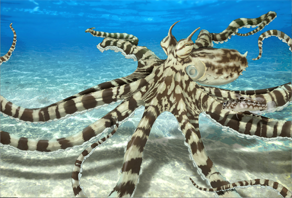 Được mệnh danh là bậc thầy ngụy trang dưới đại dương, ''bạch tuộc bắt chước'' Mimic là động vật sở hữu siêu năng lực khiến con người phải ghen tị. Loài bạch tuộc này được phát hiện vào năm 1998 ở ngoài khơi Sulawesi, Indonesia với khả năng có thể biến đổi hoàn toàn cơ thể cũng như vẻ ngoài của mình để trở thành một loài động vật khác.