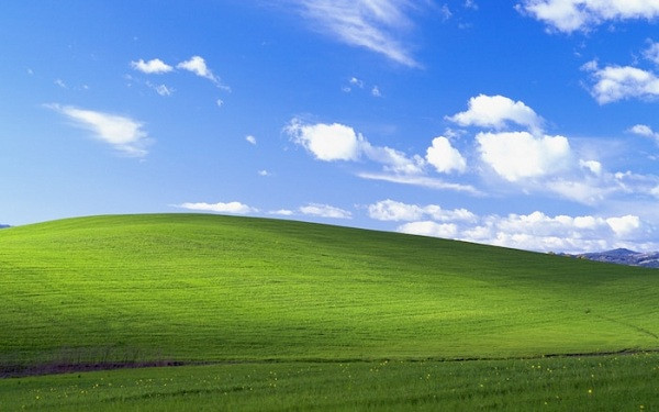 Ai đã từng dùng Microsolf hẳn còn nhớ hình nền huyền thoại của Windows XP với khung cảnh cánh đồng cỏ tươi tố, bầu trời xanh ngắt. Ước tính kể từ khi được Microsolf mua lại năm 2001, đã có hơn 1 tỷ người nhìn thấy bức ảnh Bliss (Hạnh phúc) này.