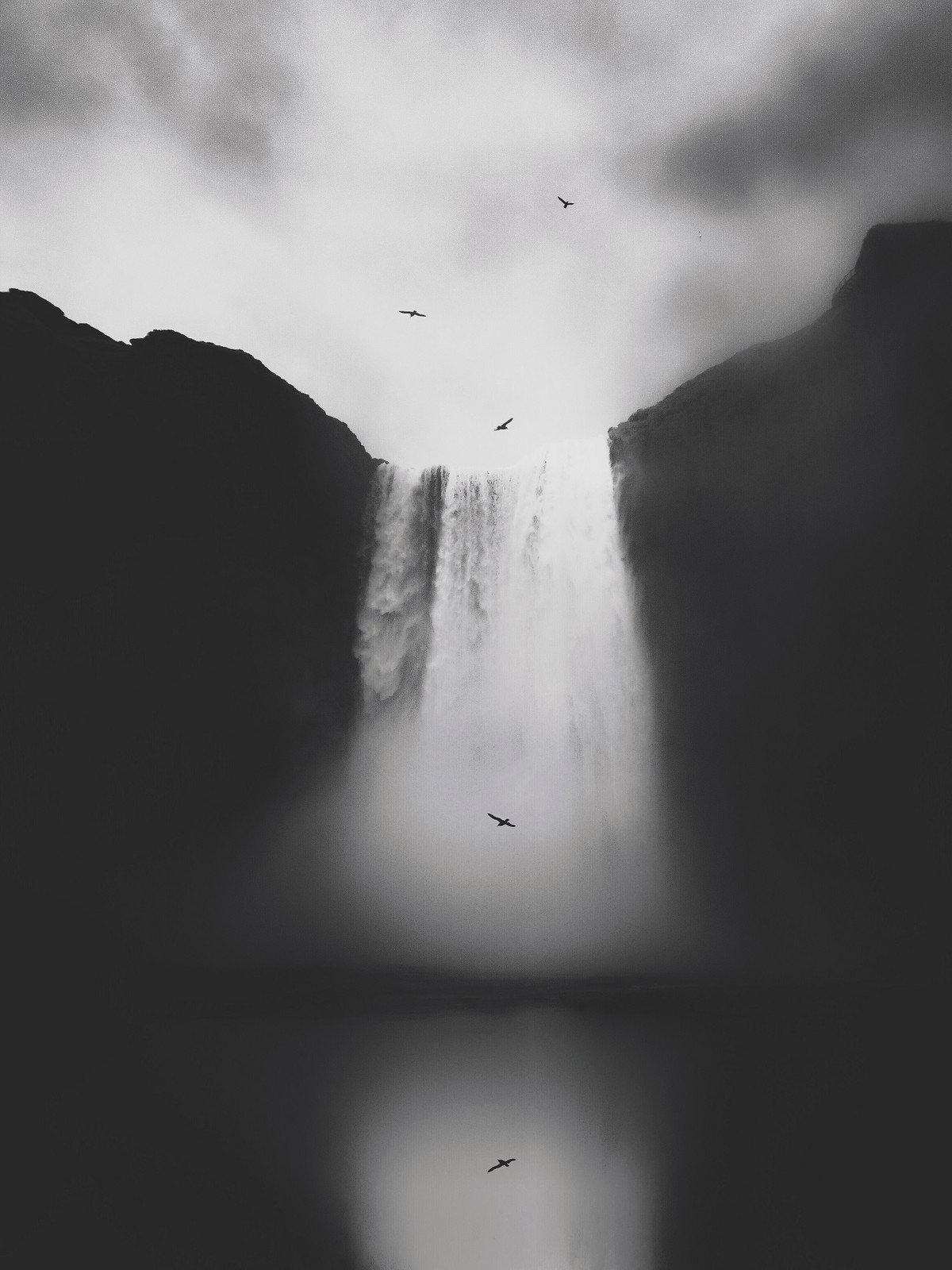 Giải thưởng Nhiếp ảnh iPhone được thành lập năm 2007 và chọn những bức ảnh đẹp nhất từ hàng nghìn hình ảnh và hơn 140 quốc gia trên thế giới. (Bức ảnh đoạt giải nhất hạng mục Thiên nhiên thuộc về tác giả Lisi Li)