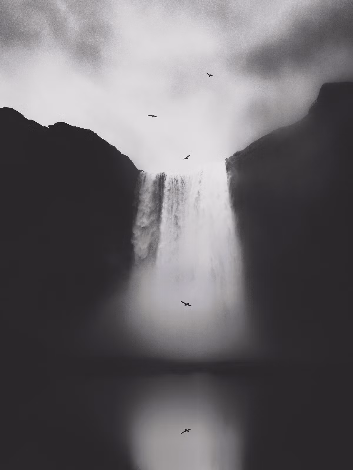 Giải thưởng Nhiếp ảnh iPhone được thành lập năm 2007 và chọn những bức ảnh đẹp nhất từ hàng nghìn hình ảnh và hơn 140 quốc gia trên thế giới. (Bức ảnh đoạt giải nhất hạng mục Thiên nhiên thuộc về tác giả Lisi Li)