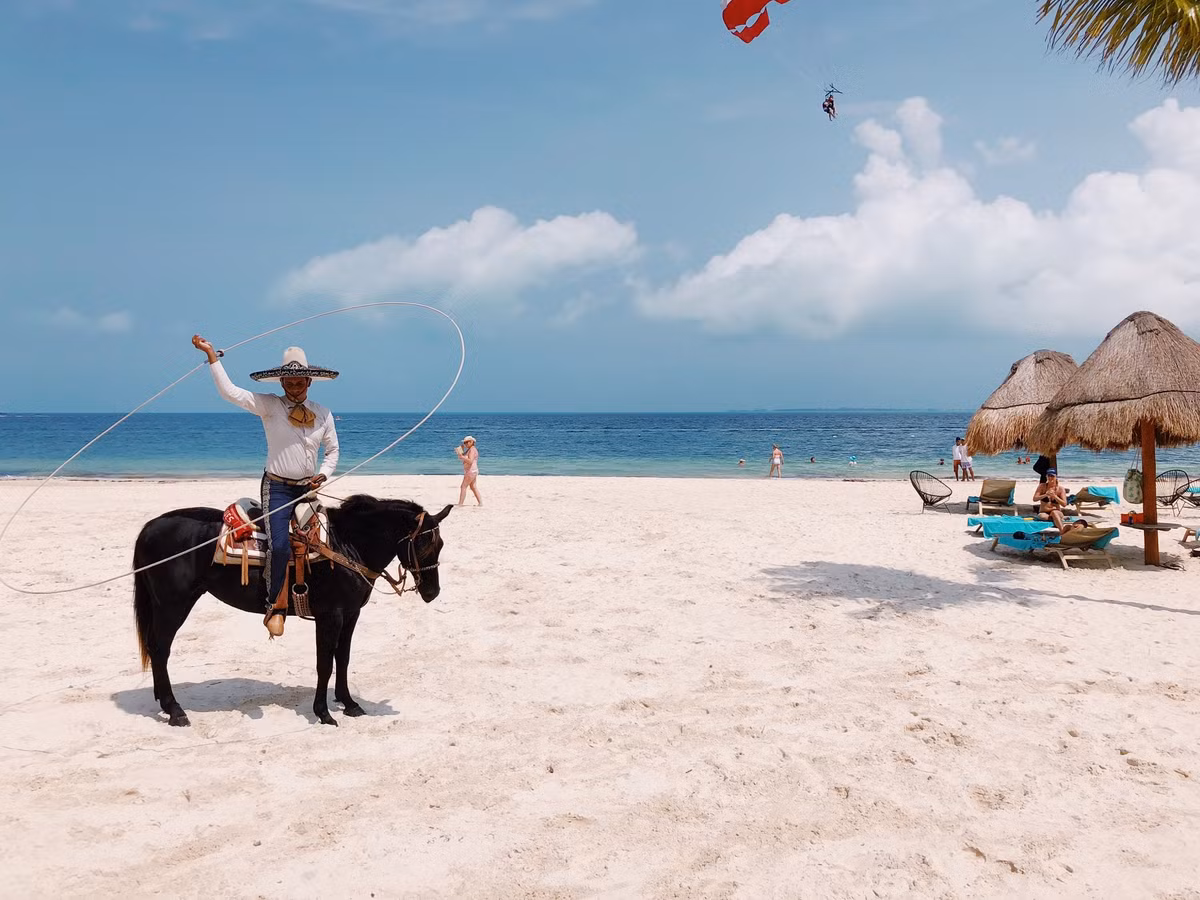 Bức ảnh đoạt giải nhất hạng mục Lối sống thuộc về nữ nhiếp ảnh gia Audrey Blake.