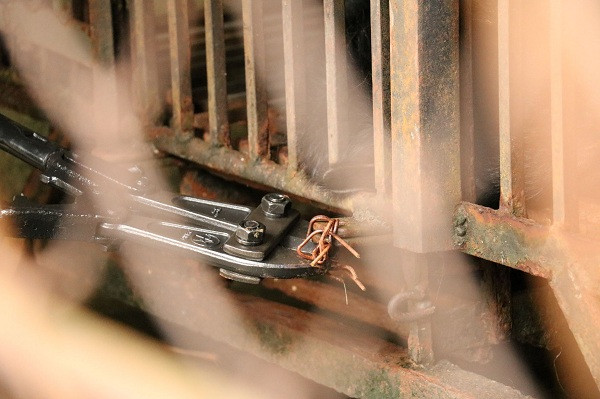 Những nhân viên và y bác sĩ thực hiện giải cứu đặt tên cho hai chú gấu là là Clara và Florence - hai y tá nổi tiếng trong lịch sử người Anh và Mỹ, như một lời cảm ơn và động viên các bác sỹ, y tá vẫn đang căng mình chống dịch ở nhiều quốc gia mà COVID-19 vẫn đang hoành hành.