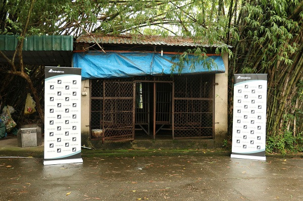 Khu vực nhà kho tối nuôi nhốt hai chú gấu ngựa mới được giải cứu. Suốt 20 năm qua chúng đã phải sống trong các chuồng sắt, bên ngoài là cửa khoá lưới B40. Nhưng kể từ nay, cuộc sống của chúng chắc chắn sẽ khác và biến chuyển tích cực.