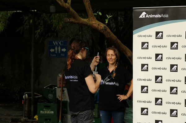 Để đưa được 2 gấu ra và chuyển sang lồng vận chuyển, các bác sỹ đã phải dùng kìm cắt khóa lồng xập xệ đã han gỉ.