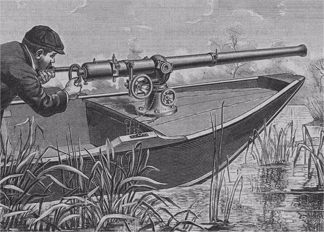 Punt gun là loại súng shotgun xuất hiện từ những năm 1800, và được sử dụng trong thế kỷ 19 cho tới đầu thế kỷ 20, súng punt được dùng để săn vịt trời với số lượng lớn. Do kích thước quá khổ mà súng này thường được gắn cố định trên thuyền, dẫn tới làm giảm tính cơ động, bên cạnh đó độ giật khi bắn của súng là rất lớn. Một phát bắn của nó có thể giết chết 50 con vịt trời cùng lúc.