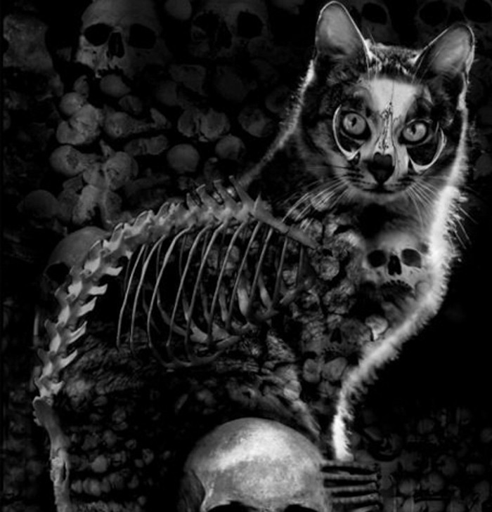 Chúng sẽ bị giết và được yểm những thứ tà thuật lên người để giúp những linh hồn ác quỷ có thể trú ngụ lên cơ thể những con mèo đã chết. Từ đó có thể sử dụng những con mèo này như một loại bùa ngải để đi hại người.