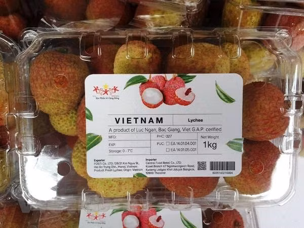 Với các thị trường Trung Quốc, Australia, Mỹ… việc xuất khẩu vải thuận lợi nhờ đã có sự chuẩn bị và tiếp cận từ nhiều năm qua. Nhờ ứng dụng những cải tiến về công nghệ, việc bảo quản quả vải tươi có thể kéo dài đến 35 ngày, thuận lợi cho việc xuất khẩu bằng đường biển.