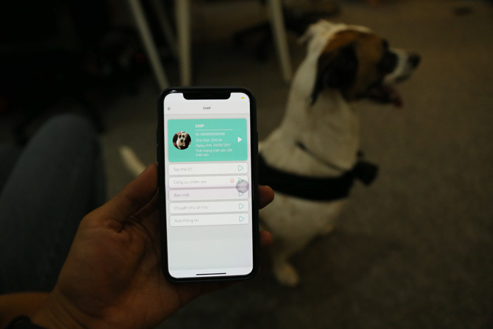 Không chỉ giúp người nuôi chăm sóc và quản lý thú nuôi tốt hơn, "chứng minh thư điện tử" này còn giúp tăng tỷ lệ tìm được thú nuôi khi thất lạc.