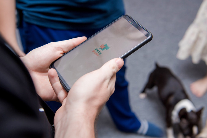 Ứng dụng PetsPort được tạo ra bởi những người yêu thú cưng và đang dần được cộng đồng đón nhận.